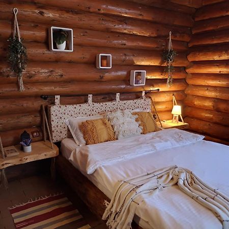 Cabana Rustic Balea Cîrţişoara エクステリア 写真