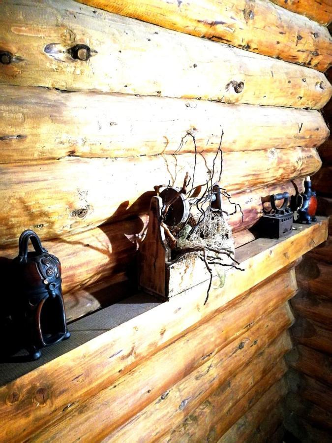 Cabana Rustic Balea Cîrţişoara エクステリア 写真