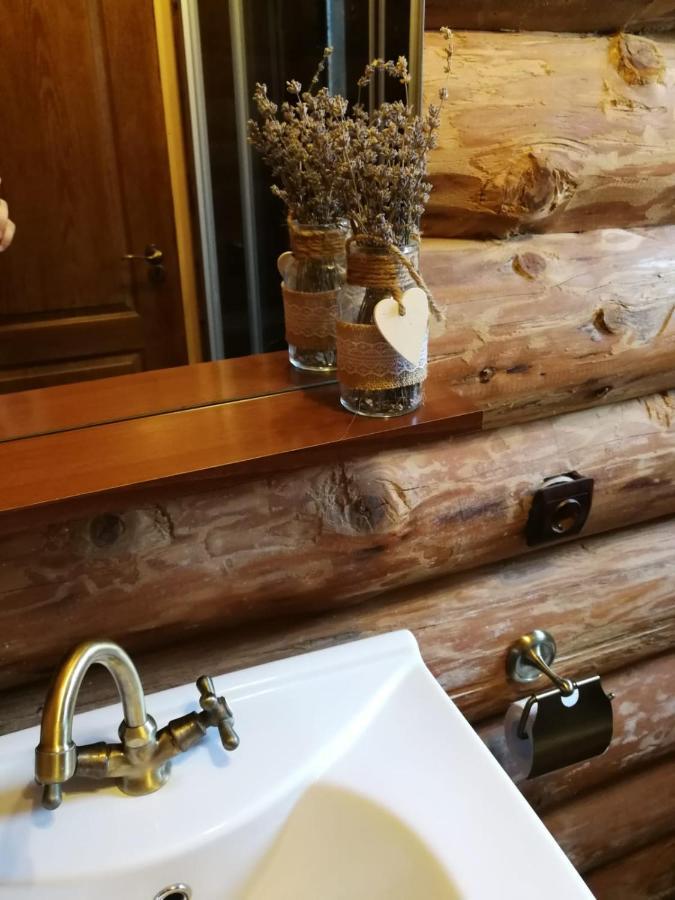 Cabana Rustic Balea Cîrţişoara エクステリア 写真