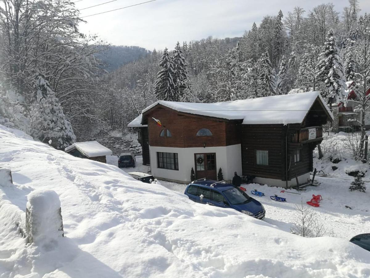 Cabana Rustic Balea Cîrţişoara エクステリア 写真
