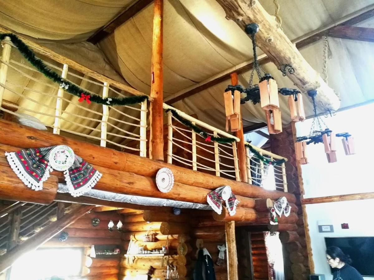 Cabana Rustic Balea Cîrţişoara エクステリア 写真