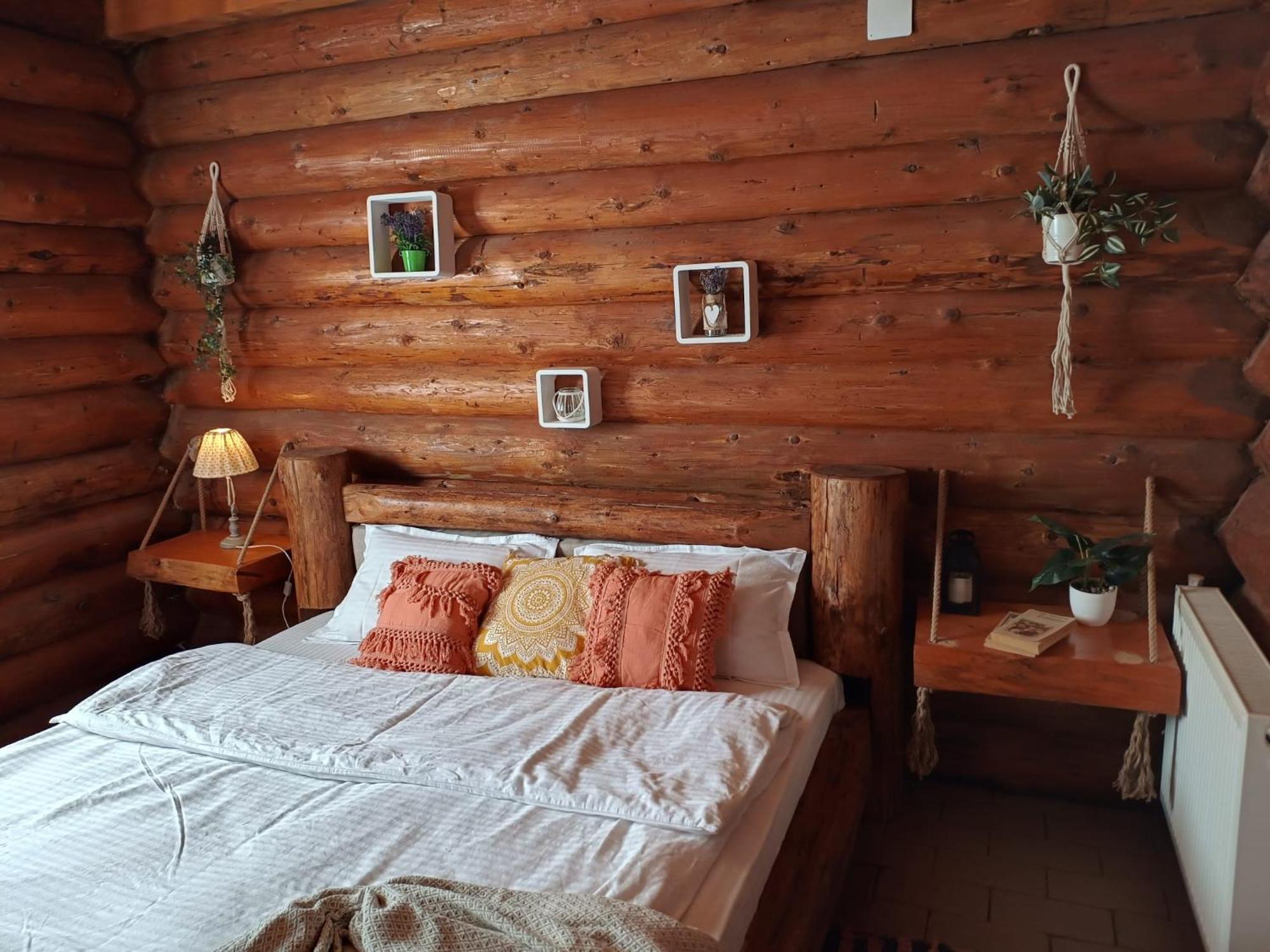Cabana Rustic Balea Cîrţişoara エクステリア 写真