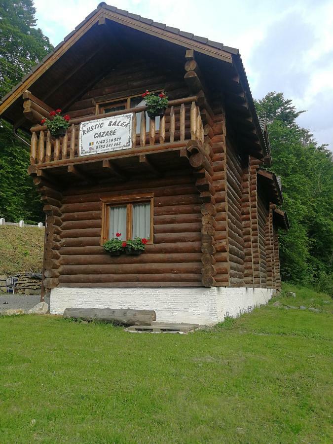 Cabana Rustic Balea Cîrţişoara エクステリア 写真