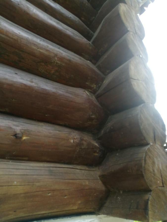 Cabana Rustic Balea Cîrţişoara エクステリア 写真