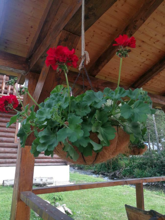 Cabana Rustic Balea Cîrţişoara エクステリア 写真